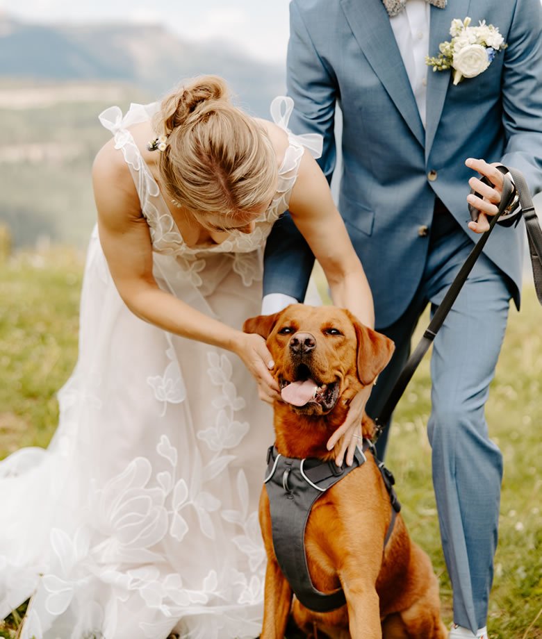How to Include Your Dog in Your Estes Park Wedding