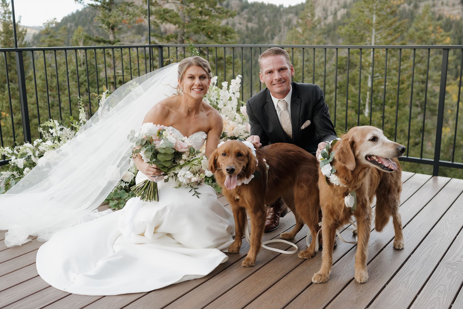 Mountain scenery near Estes Park, Colorado, a popular dog friendly wedding destination