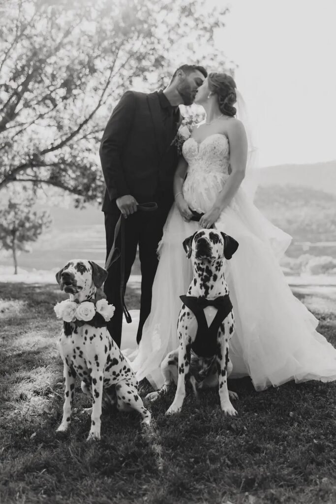 Black and white portrait of a couple with their Dalmatian on their wedding day