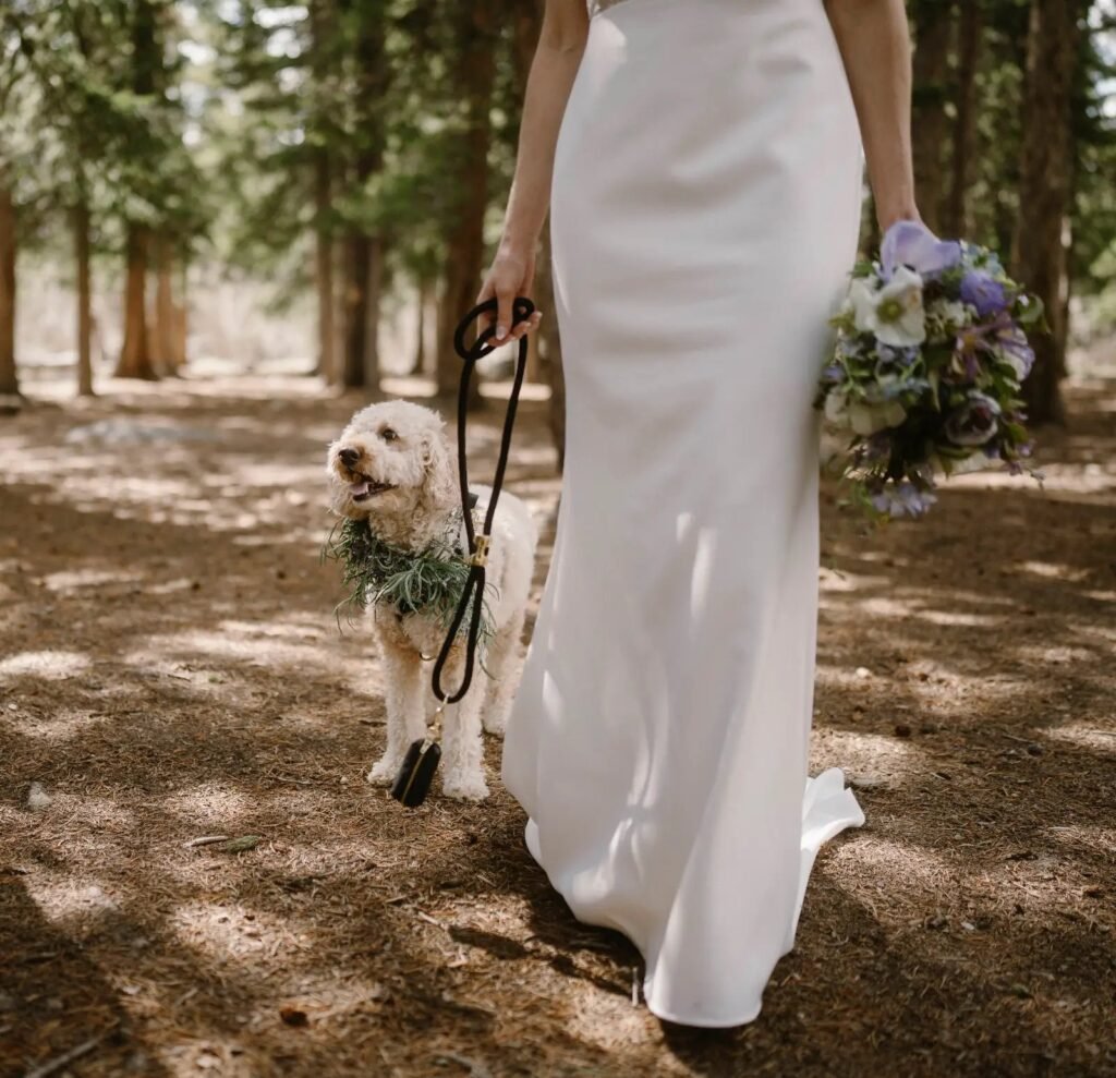 Bride walking her dog along a forest path before the ceremony