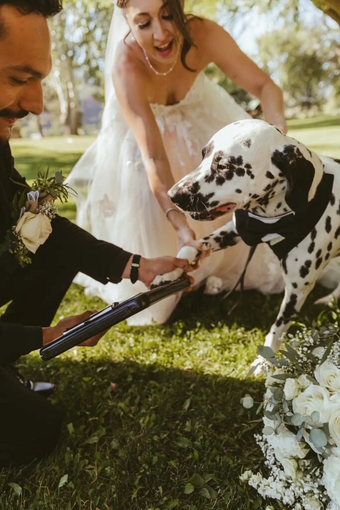 Couple posing with their Dalmatian after the ceremony