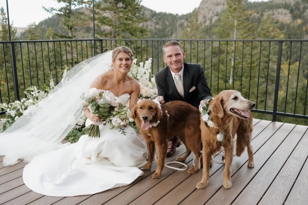 Couple with their two golden retrievers on their wedding day