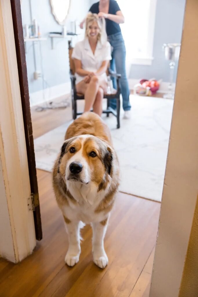 Bride getting ready with her dog beside her